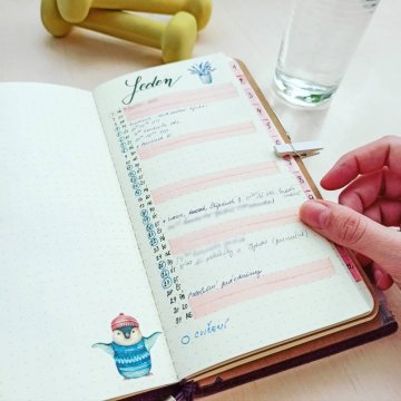 Můj rok s Bullet Journalem - tipy, které se mi osvědčily
