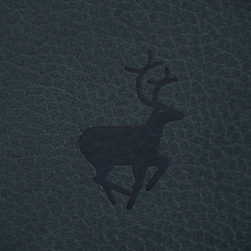 Zápisník Dingbats A5+ Wildlife Green Deer TEČKOVANÝ