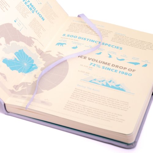Zápisník Dingbats A5+ Earth Glicine Arctic TEČKOVANÝ