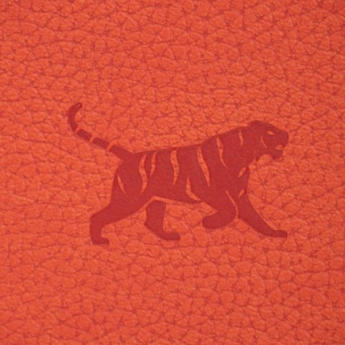 Zápisník Dingbats A5+ Wildlife Orange Tiger TEČKOVANÝ