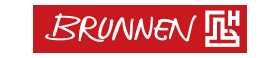 BRUNNEN - další německý kůň v naší stáji