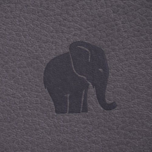 Zápisník Dingbats A5+ Wildlife Grey Elephant ČISTÝ